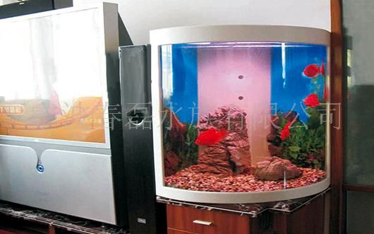 生态水族鱼缸