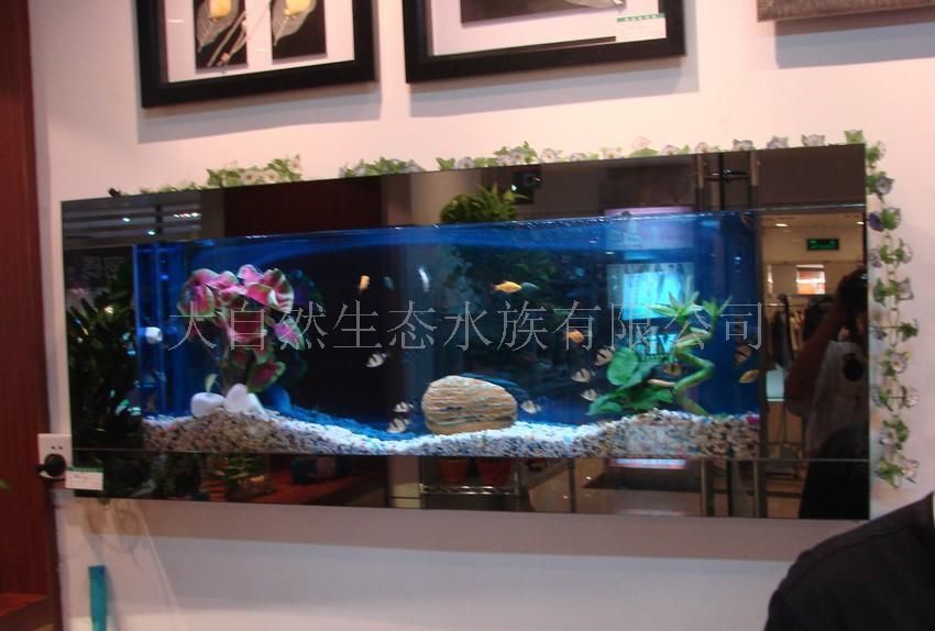 生态壁画-画中养鱼