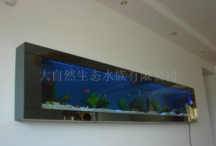 诚招生态壁画-画中养鱼代理与加盟