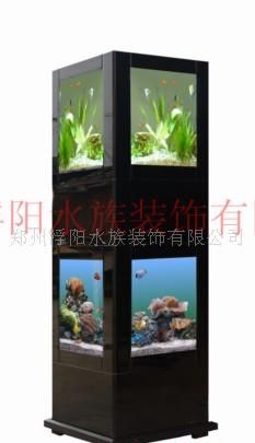 郑州浮阳生态水族式新宠；怪怪水族箱；水族箱生态液