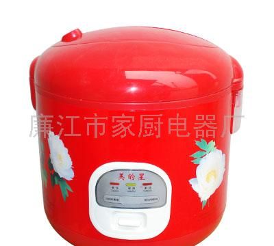 印花电饭锅
