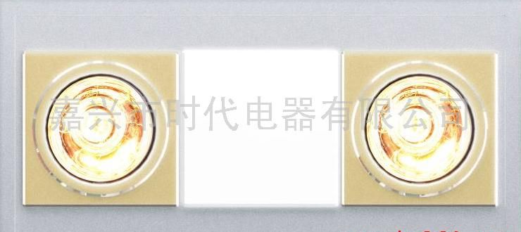 集成吊顶 600DZ-1X