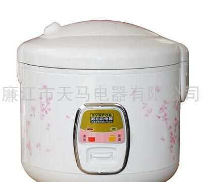 印花豪华电饭煲