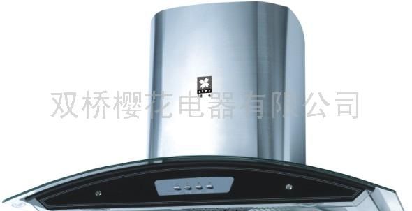 双桥樱花电器有限公司11
