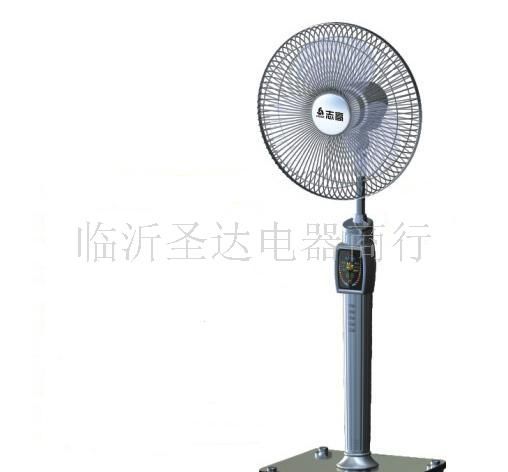豪华落地扇