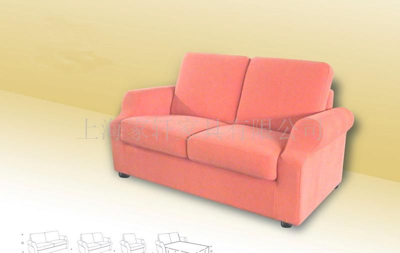 SSJ 1500-Sofa Bed (沙发床)