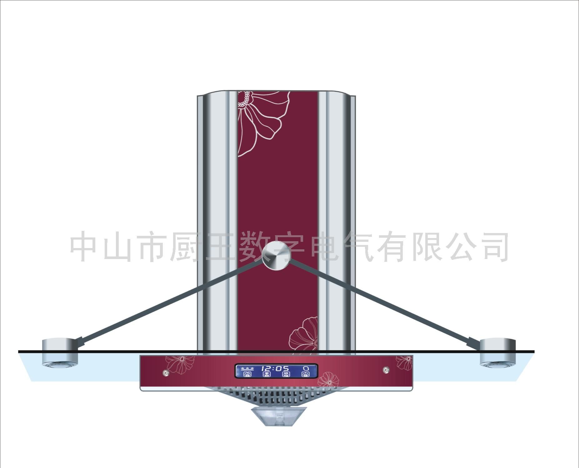 高档欧式免拆洗抽油烟机 霸王8号