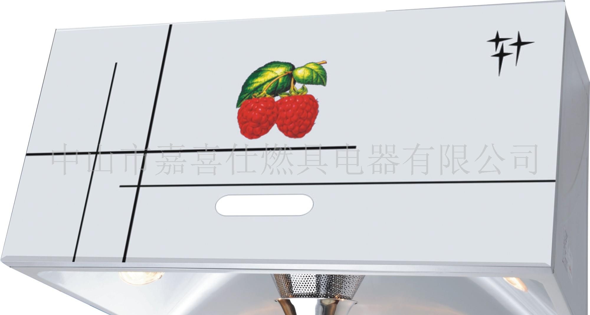 中式烟机 吸油烟机 抽油烟机