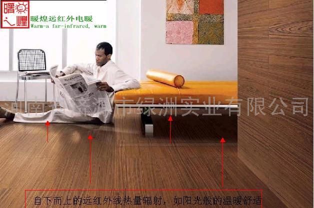 地暖，电地暖，电热地暖，碳纤维地暖，地电暖，地热电暖，电暖，